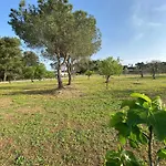 Ferienhaus Uliveto Sant' Isidoro Maglie