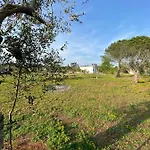 Uliveto Sant' Isidoro Ferienhaus Maglie