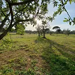 Ferienhaus Uliveto Sant' Isidoro *