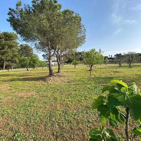 Hébergement de vacances Uliveto Sant' Isidoro Maglie