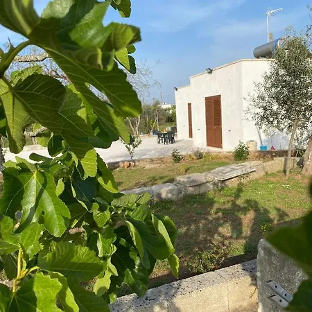 Uliveto Sant' Isidoro בית נופש