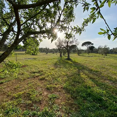 בית נופש Uliveto Sant' Isidoro *