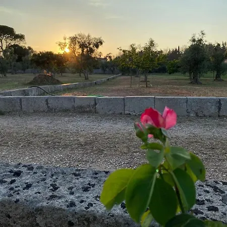 בית נופש Uliveto Sant' Isidoro