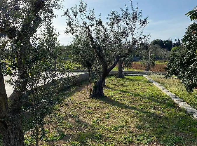 Uliveto Sant' Isidoro