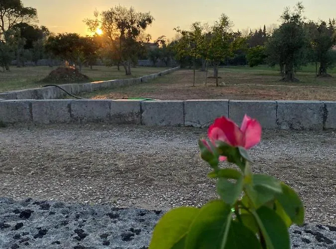 Casa vacanze Uliveto Sant' Isidoro