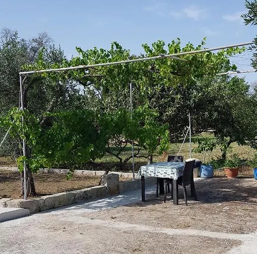 Uliveto Sant' Isidoro * Maglie