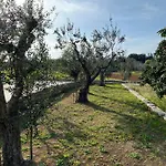 Uliveto Sant' Isidoro