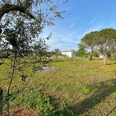 Uliveto Sant' Isidoro Holiday home Maglie