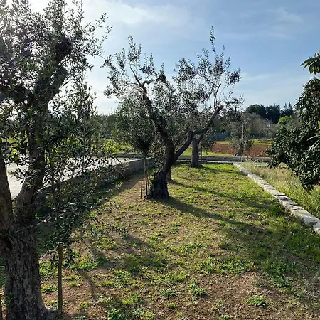 Uliveto Sant' Isidoro