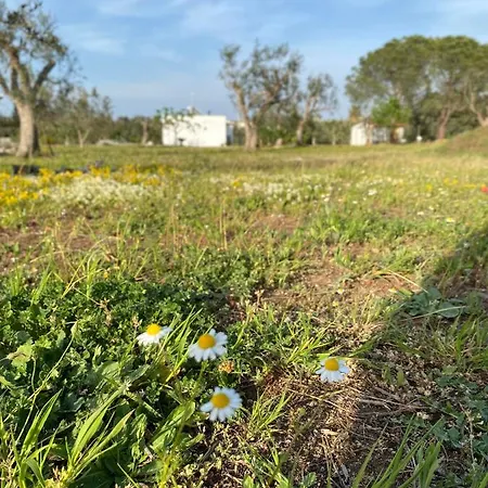 Holiday home Uliveto Sant' Isidoro Maglie