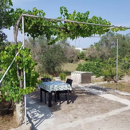 Uliveto Sant' Isidoro *