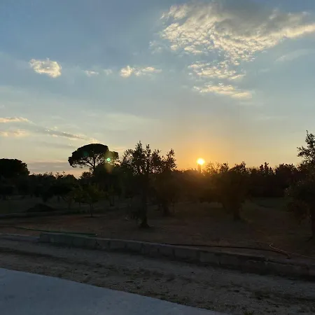 Uliveto Sant' Isidoro * Maglie