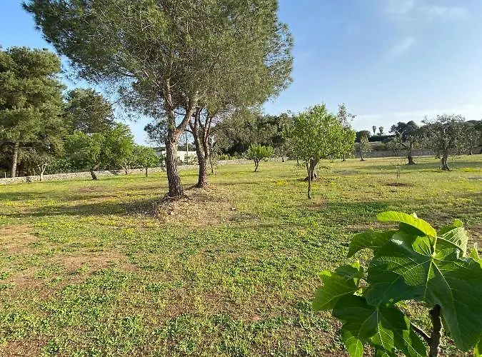 Сasa de vacaciones Uliveto Sant' Isidoro Maglie