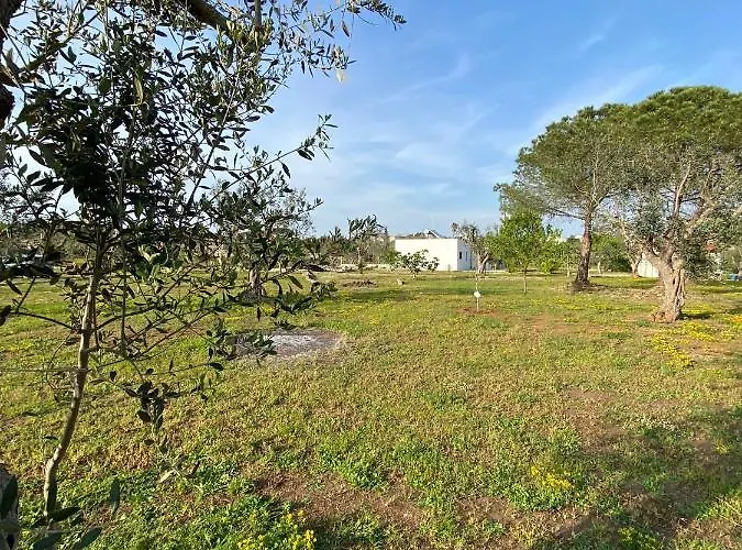 Uliveto Sant' Isidoro بيت للعطل ماليي