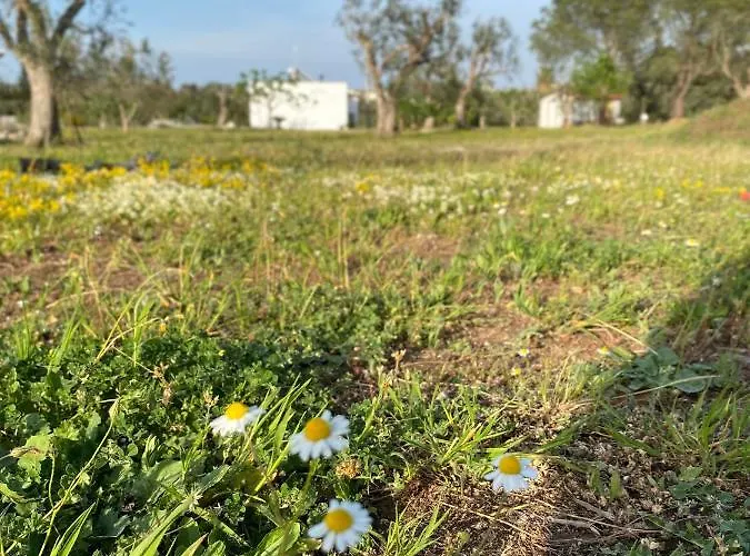 Сasa de vacaciones Uliveto Sant' Isidoro Maglie