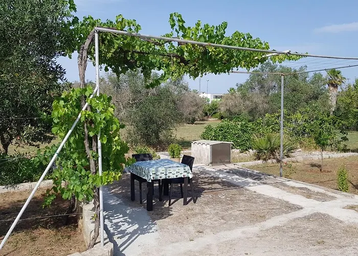 Uliveto Sant' Isidoro *